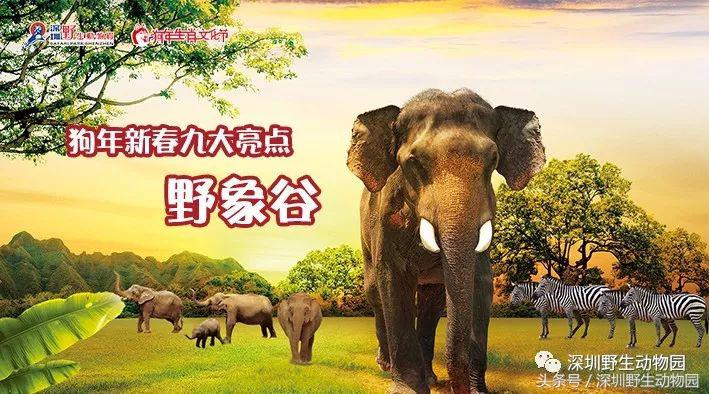 开（shang）工（xue）啦，我要天天“象”上