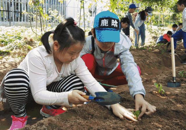 亲子游好去处！番禺周边的农家乐、游乐场、文化园…充实又好玩！