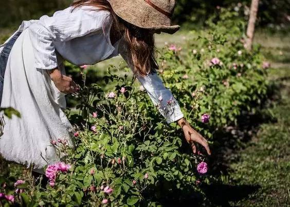 德国美丽的小镇风景太美了,全世界最漂亮的小镇欧洲