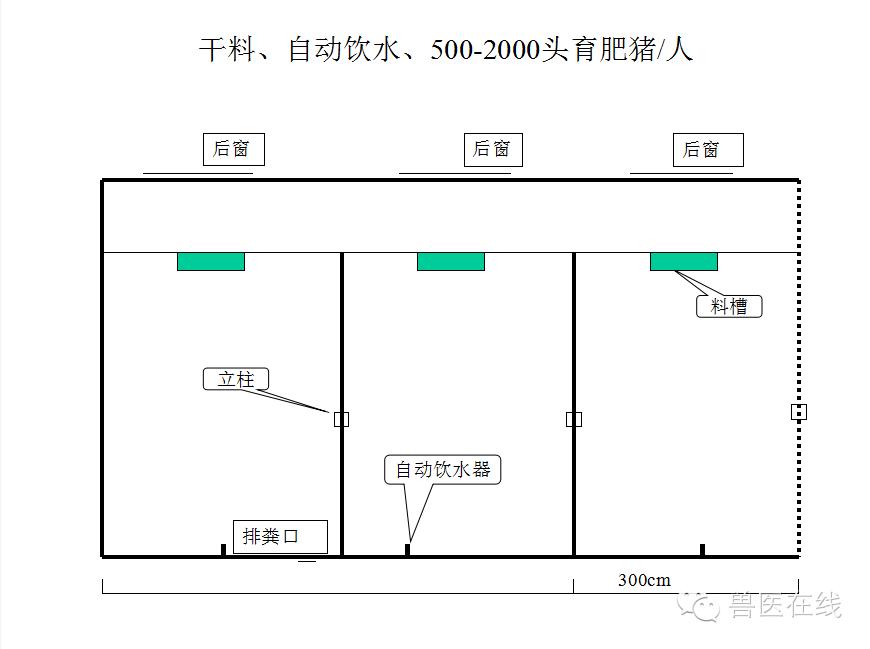 猪场刮粪机排粪沟设计图,100头母猪猪场设计图