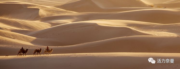 45万人的名片，太漂亮了！！《奈曼人的名片》最新版，45万次！！！精工打造！！！