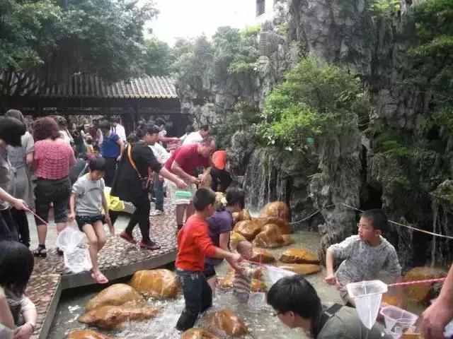 亲子游好去处！番禺周边的农家乐、游乐场、文化园…充实又好玩！