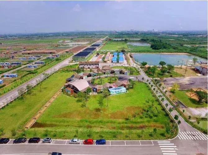 亲子游好去处！番禺周边的农家乐、游乐场、文化园…充实又好玩！