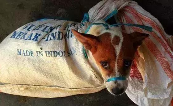 这个国家垃圾堆里竟能捡到LV包、劳力士和大量现金！而且不是迪拜