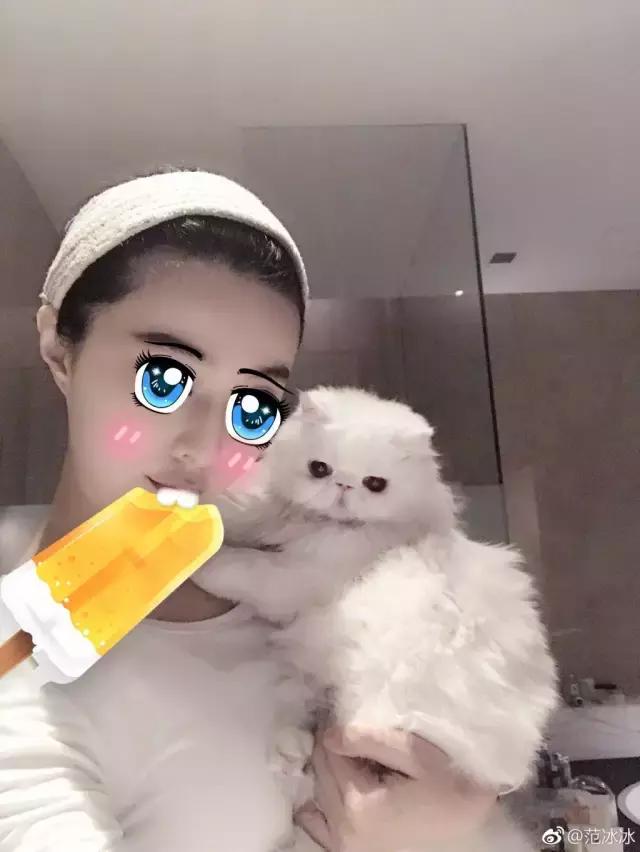 还珠三姐妹现在怎样了,还珠三姐妹怎么样