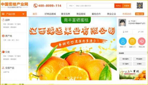 桔子树寒冬保护妙招