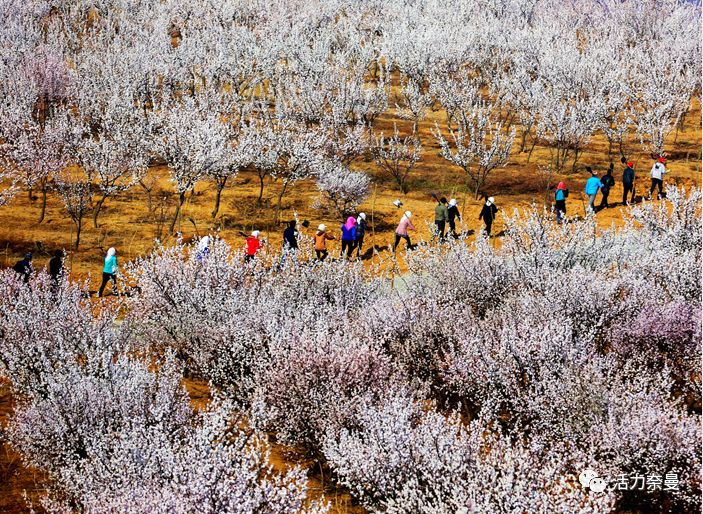 45万人的名片，太漂亮了！！《奈曼人的名片》最新版，45万次！！！精工打造！！！