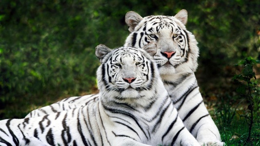 股权投资基金尽调流程,股权投资基本运作详解