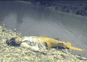 你知道都有哪些女星饰演过美人鱼吗？