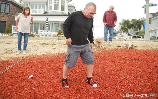 千万别“吃藕”丑，别跟我谈物种成灾，在哥眼中你只是道菜！