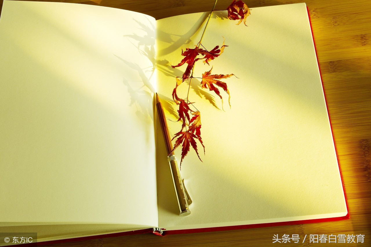 初中英语人教版短语归纳大全,初中英语短语1000句