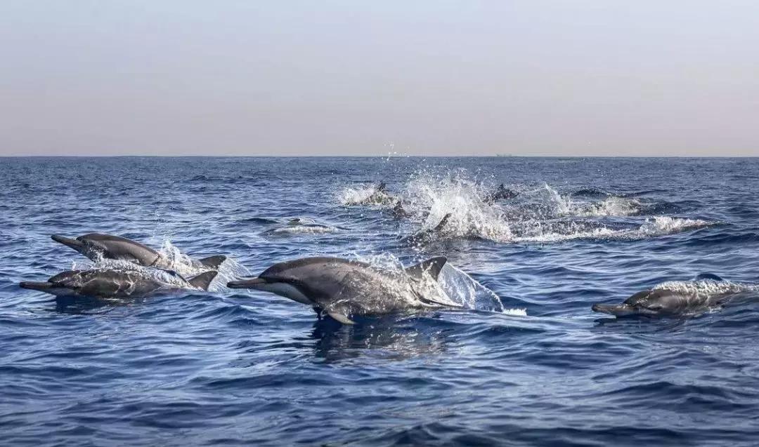 巴厘岛怎么玩行程安排,巴厘岛怎么玩