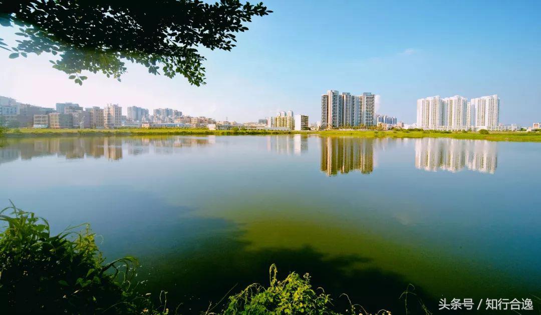 花都摇滚马拉松比赛路线,广州花都摇滚马拉松怎么报名