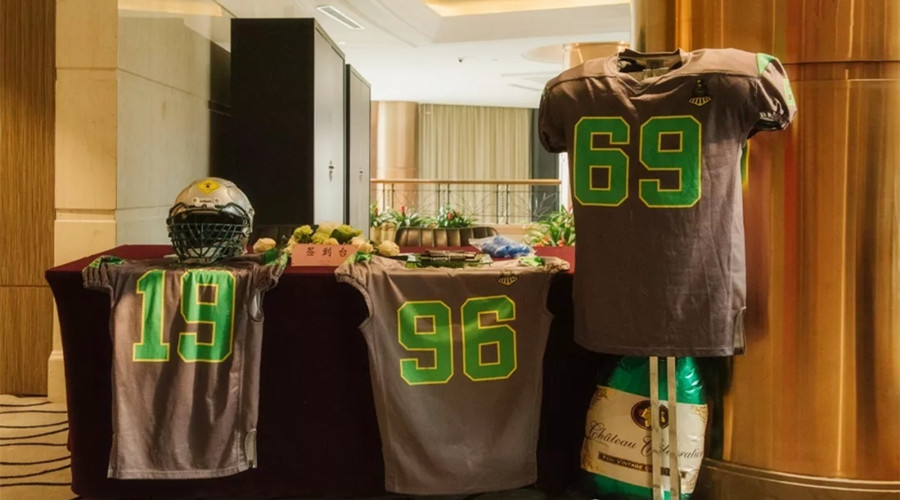 超级碗美式橄榄球十大暴力集锦,美式橄榄球超级碗2019