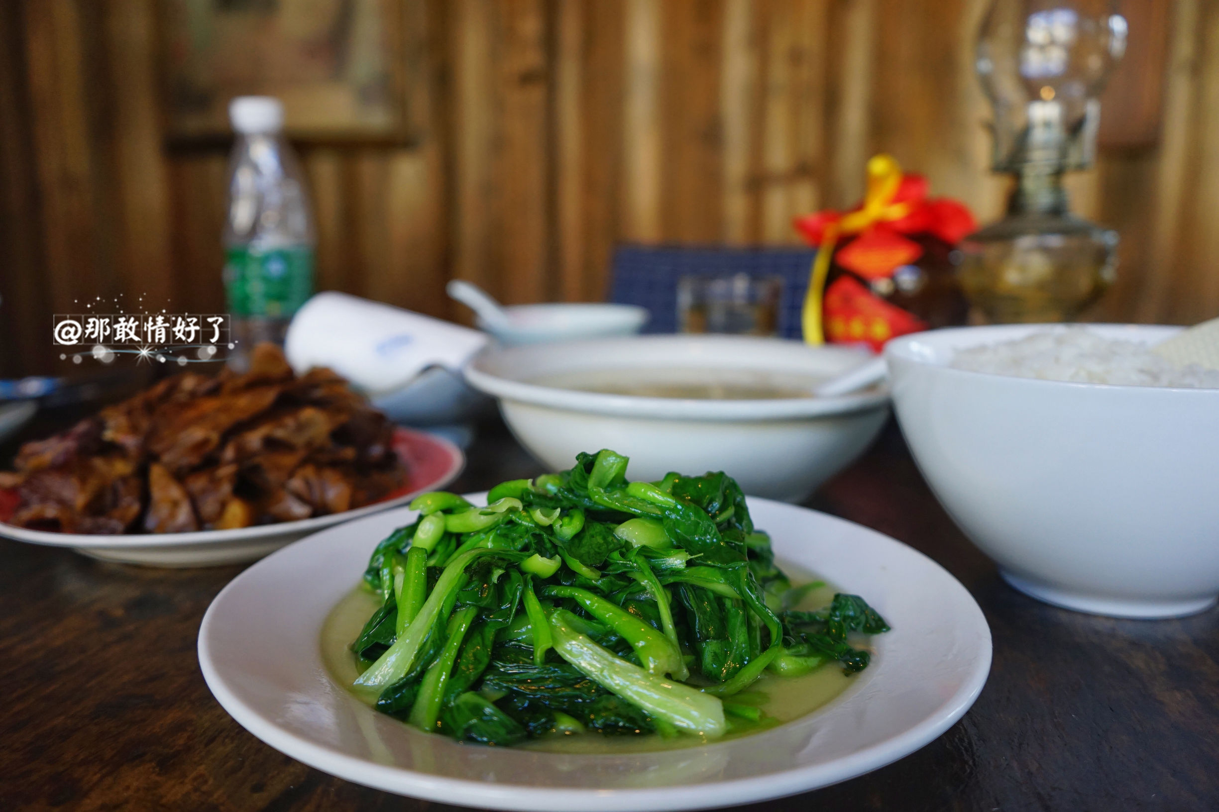 一家三口去南极旅行 (中国一家三口去南极旅游)