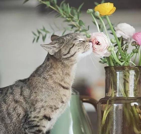 生活不止眼前的烟火味，还有提升幸福感的香薰