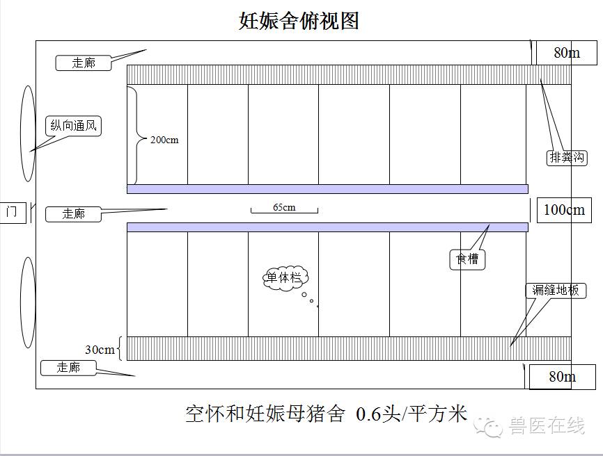 猪场刮粪机排粪沟设计图,100头母猪猪场设计图