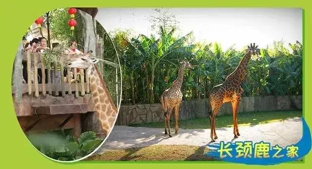 亲子游好去处！番禺周边的农家乐、游乐场、文化园…充实又好玩！