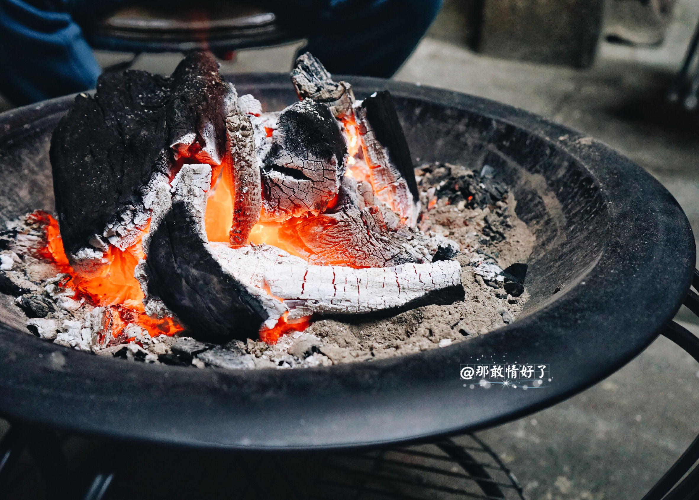 一家三口去南极旅行 (中国一家三口去南极旅游)
