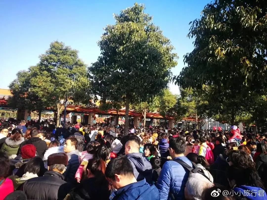 上海新年值得去的地方,春节被挤爆了的九个景点