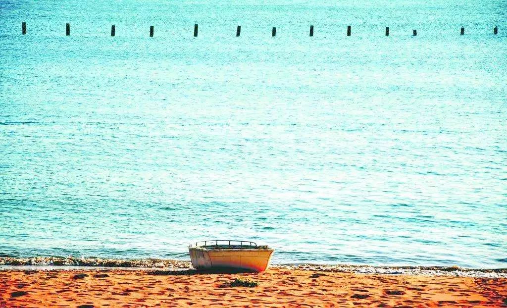 上海新年值得去的地方,春节被挤爆了的九个景点