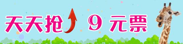 开（shang）工（xue）啦，我要天天“象”上