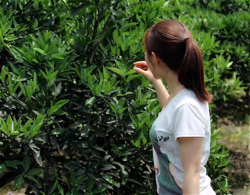 农药药害处理方法,农药药害解决办法