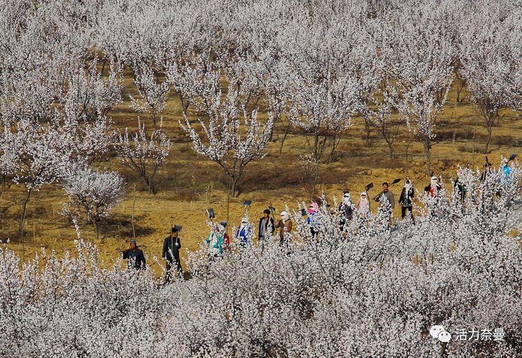 45万人的名片，太漂亮了！！《奈曼人的名片》最新版，45万次！！！精工打造！！！
