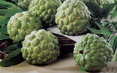 释迦果怎么吃的,释迦果你收到了吗