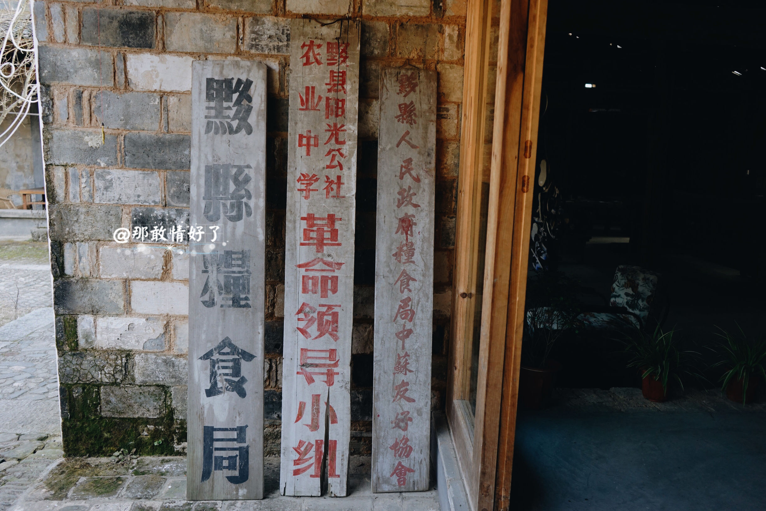 一家三口去南极旅行 (中国一家三口去南极旅游)