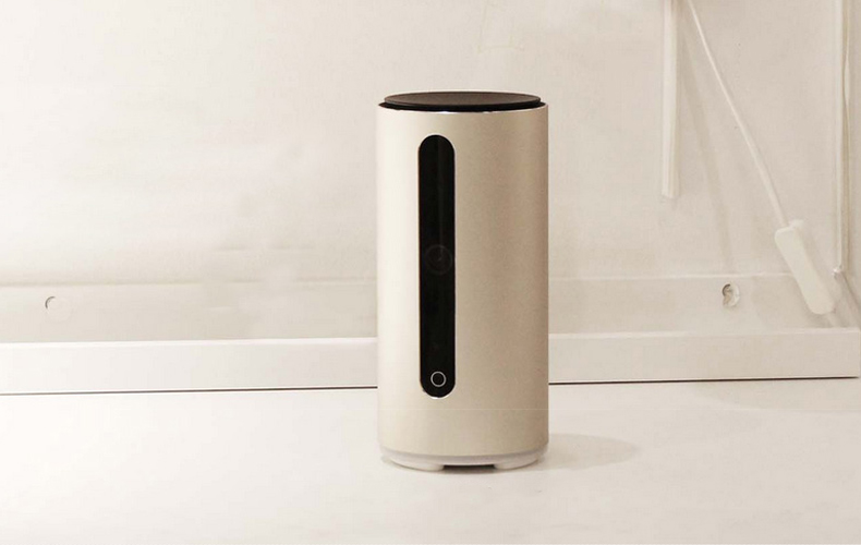 家里的宠物猫怎么处理,出远门家里猫多怎么办