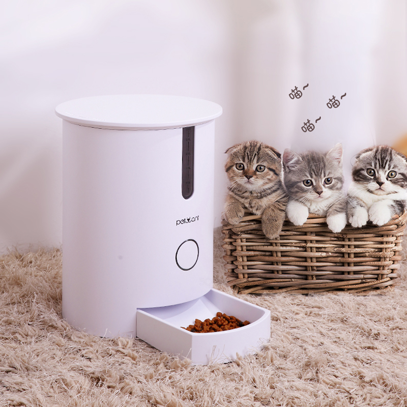 家里的宠物猫怎么处理,出远门家里猫多怎么办