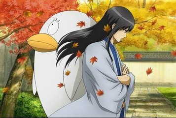 如果你进入银魂的世界你将加入那个阵营？