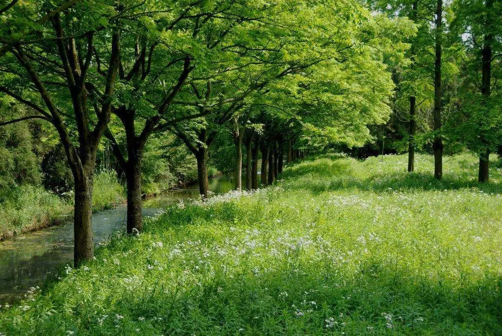 上海新年值得去的地方,春节被挤爆了的九个景点