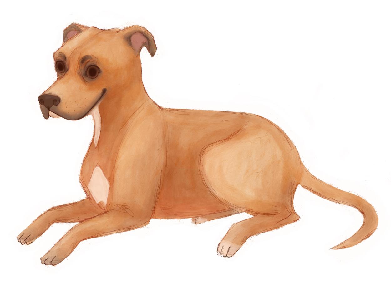 插画师hana美食插画,hannahjesus手绘插画