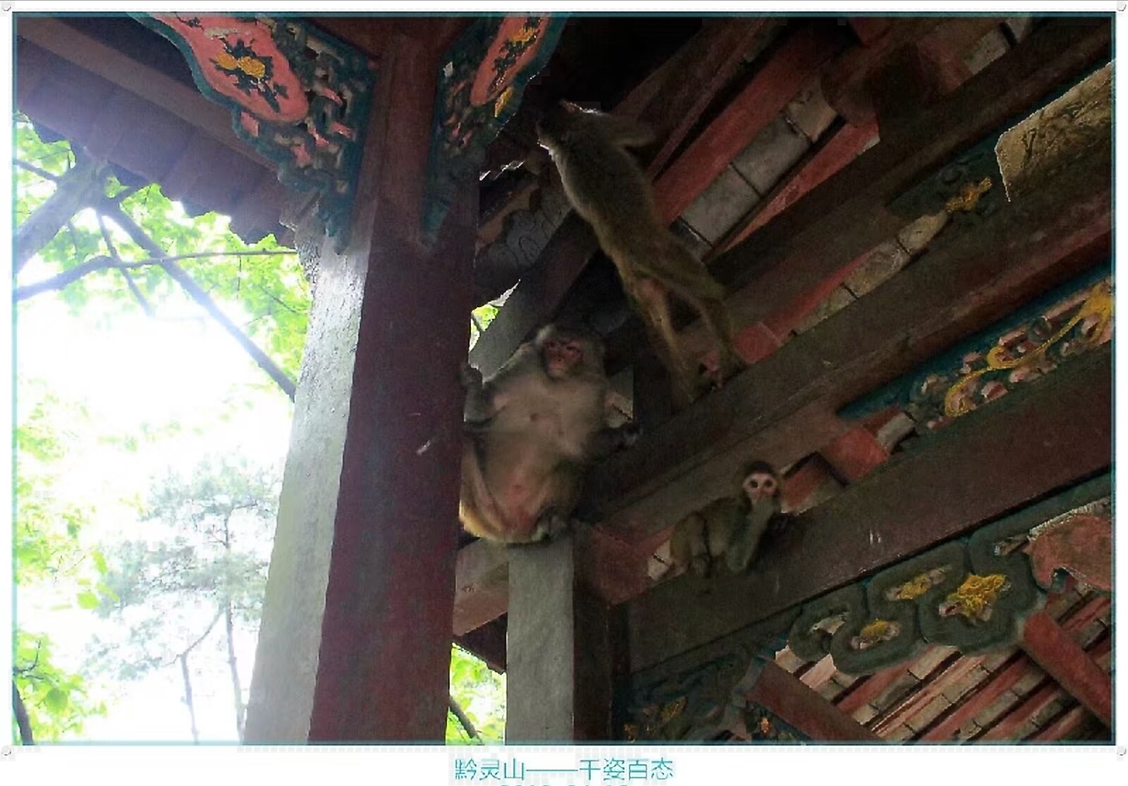 黔灵山地形图,黔灵山脉图片