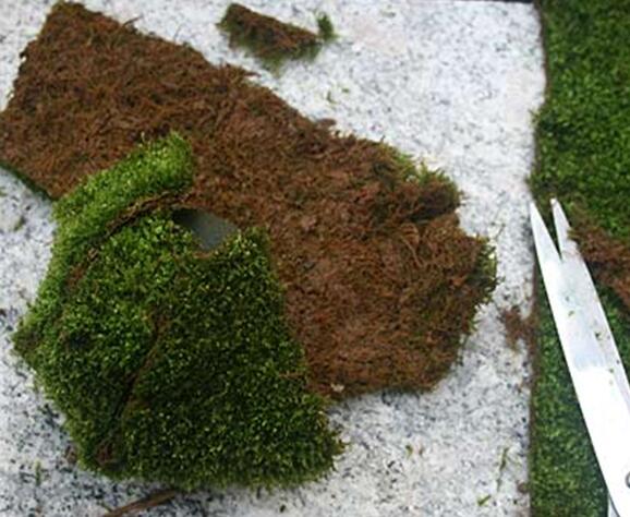 苔藓球植物养殖方法,苔藓球种植方法视频