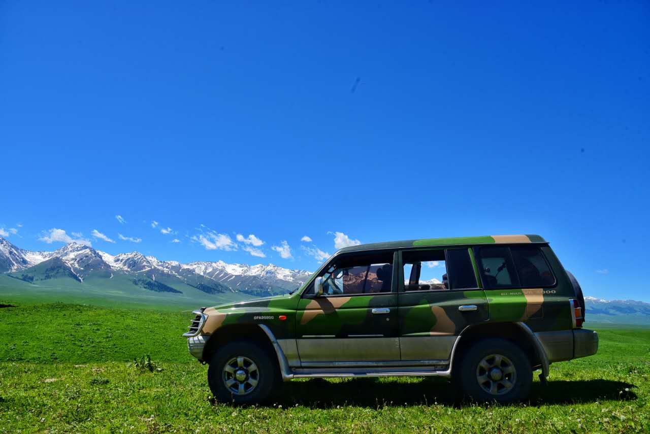 成都到拉萨租车费用多少,成都到稻城租车价格一天多少钱