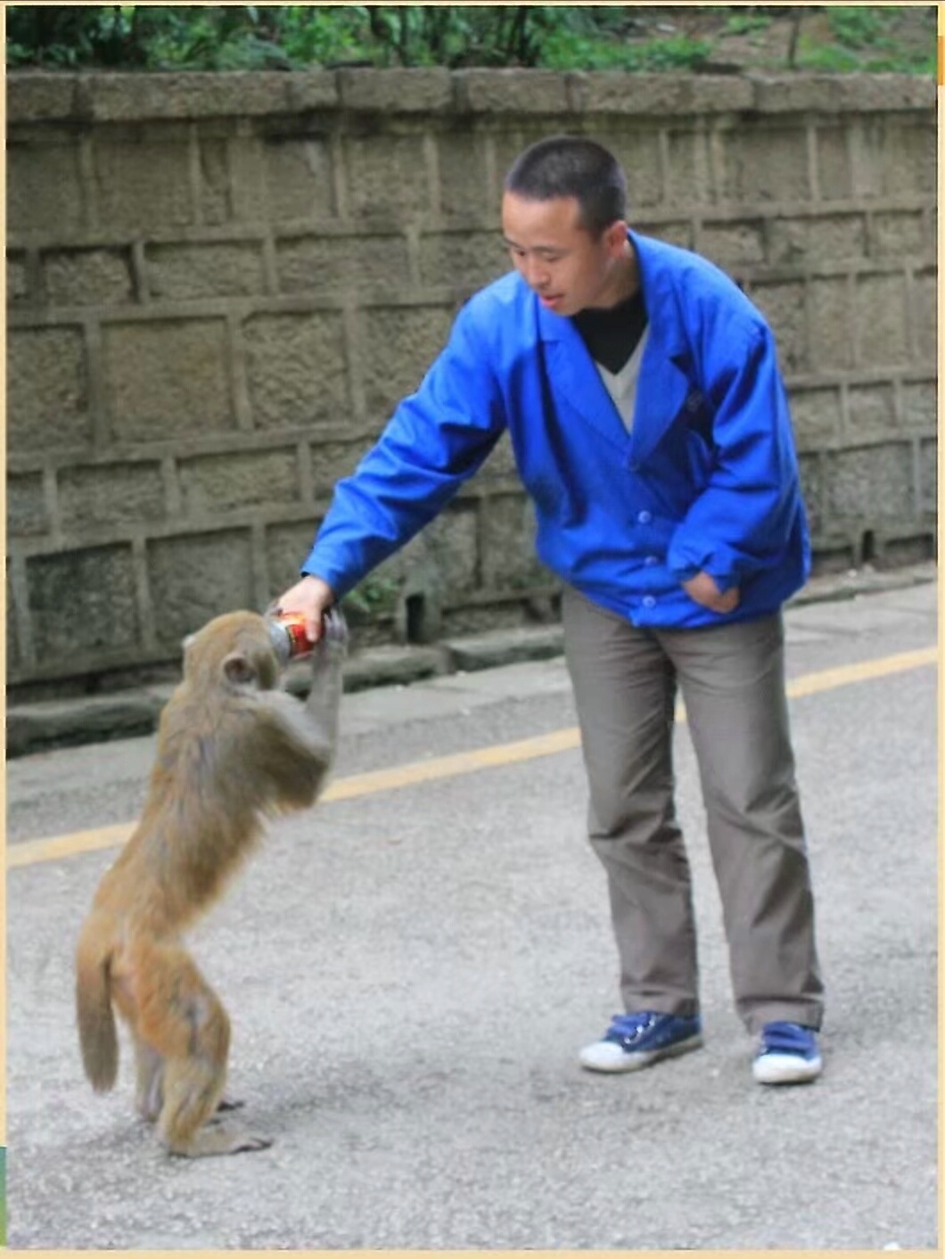 黔灵山地形图,黔灵山脉图片
