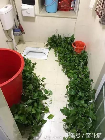 报告毛主席，我要换妈妈（看完笑死的宝宝们别找我，不关我事）~