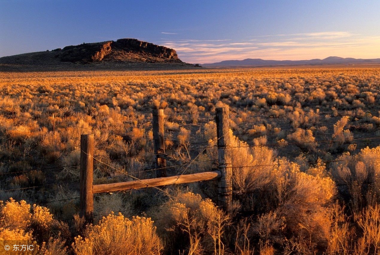怀孕的村花被返城的对象甩了，她疯了，把刚刚出生的小男孩掐死了