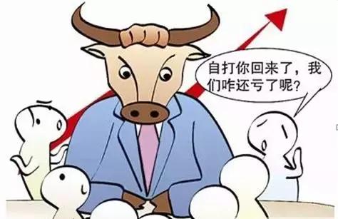 中国股民对中国股市的态度,为什么股民喜欢骂股票