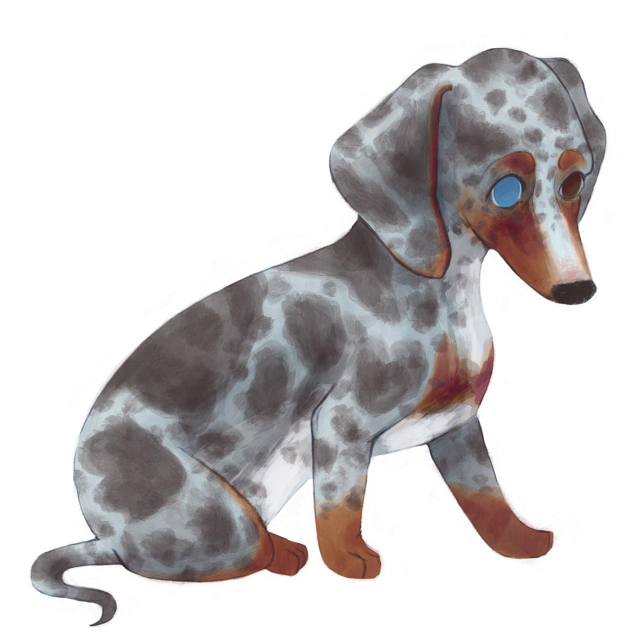 插画师hana美食插画,hannahjesus手绘插画