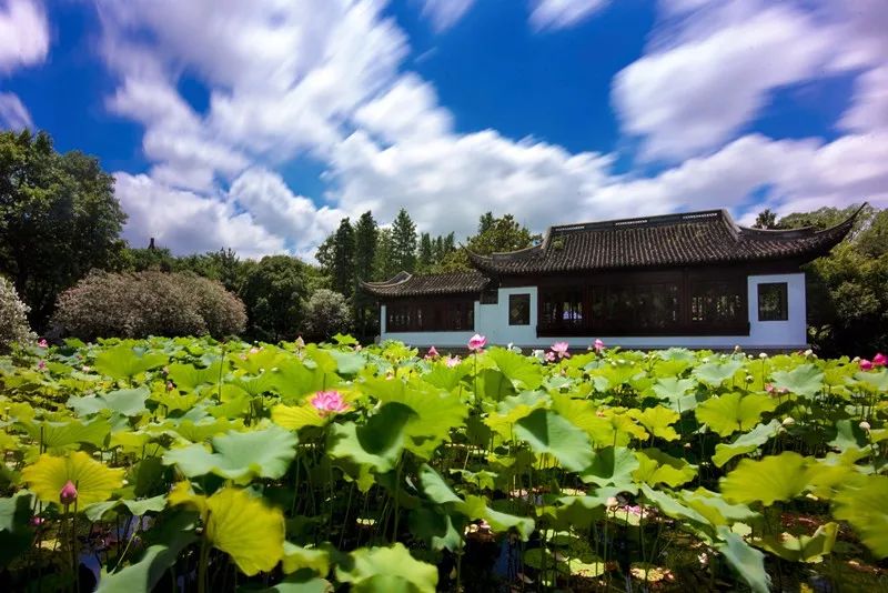 上海新年值得去的地方,春节被挤爆了的九个景点