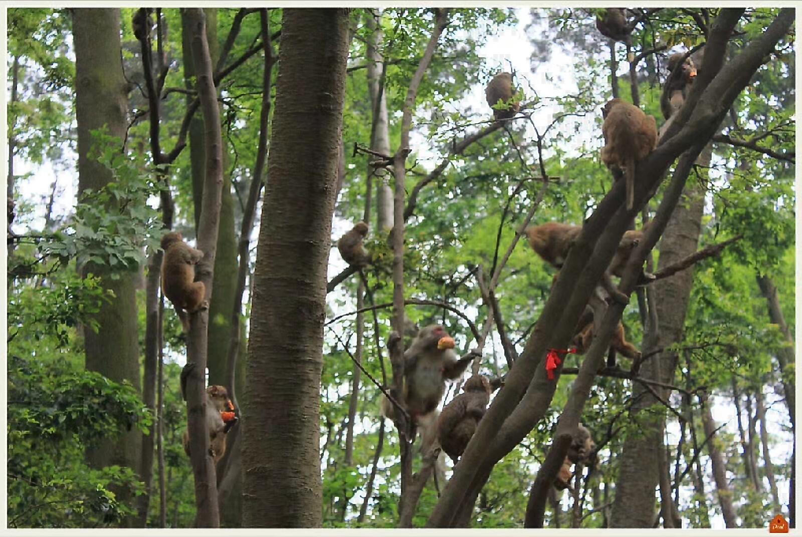 黔灵山地形图,黔灵山脉图片