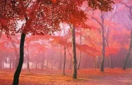 四川最美最值得去的10个地方,四川3月份哪里风景好