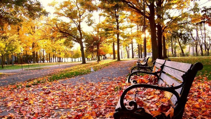 有些人有些事一旦错过就回不来了,有些人有些事错过就再也回不来