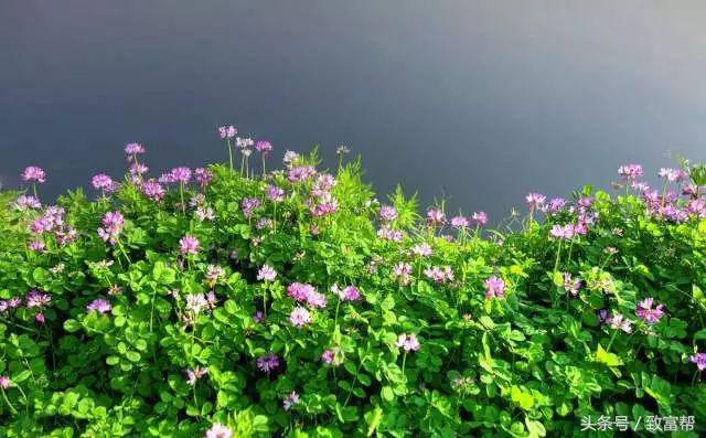 一周致富锦囊经典语录,四条致富指南请你用心收藏