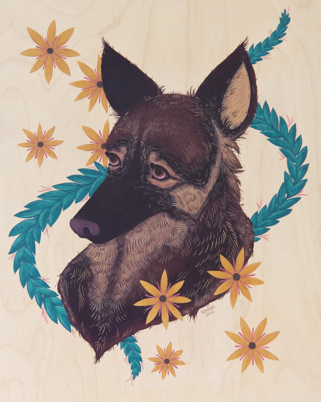 插画师hana美食插画,hannahjesus手绘插画