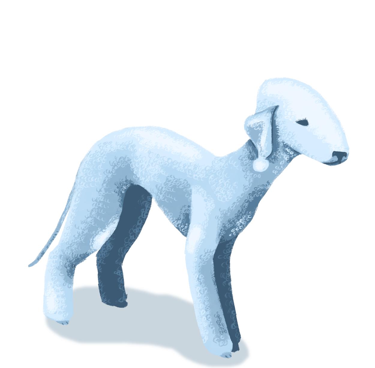 插画师hana美食插画,hannahjesus手绘插画